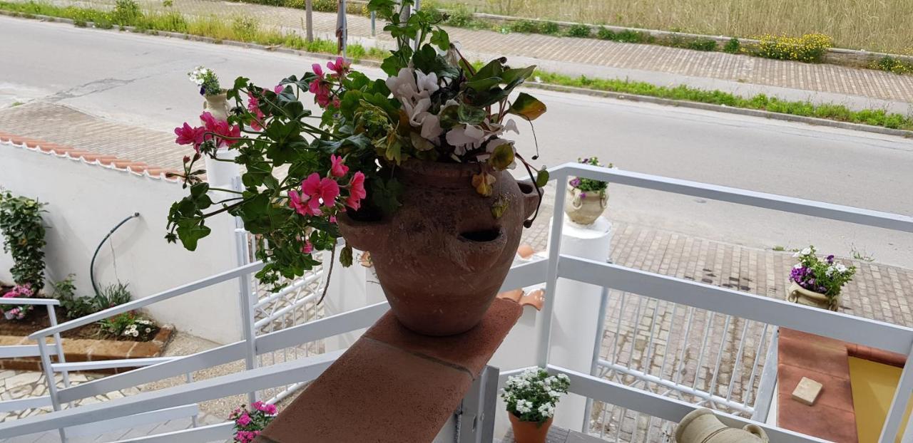 Mari En Bed & Breakfast Castel Volturno Luaran gambar